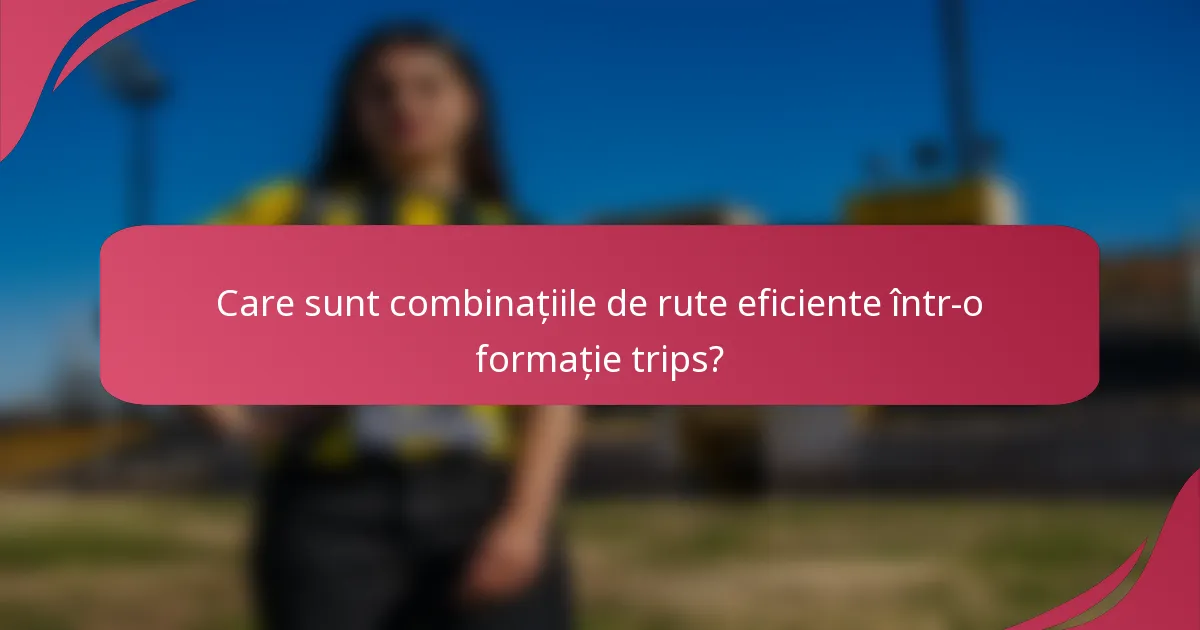 Care sunt combinațiile de rute eficiente într-o formație trips?