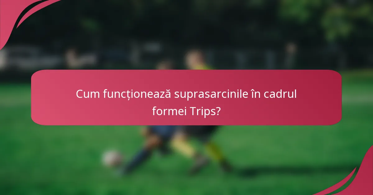 Cum funcționează suprasarcinile în cadrul formei Trips?