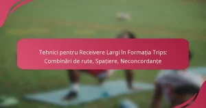 Tehnici pentru Receivere Largi în Formația Trips: Combinări de rute, Spațiere, Neconcordanțe